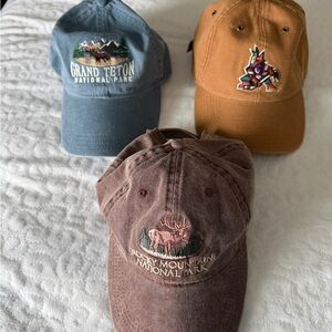 National Park Themed Baseball Caps & Coyotes hat